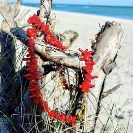 Naszyjnik z koralowca - daj sobie dawkę energii, ozdobne zapięcie